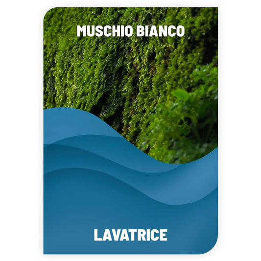 Detersivo per Lavatrice Muschio Bianco