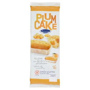 Plumcake albicocca
