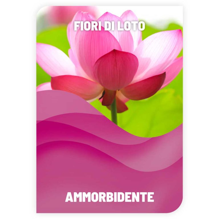 Ammorbidente Fiori di Loto