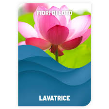 Detersivo per Lavatrice Fiori di loto