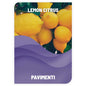 Lavapavimenti Lemon Citrus