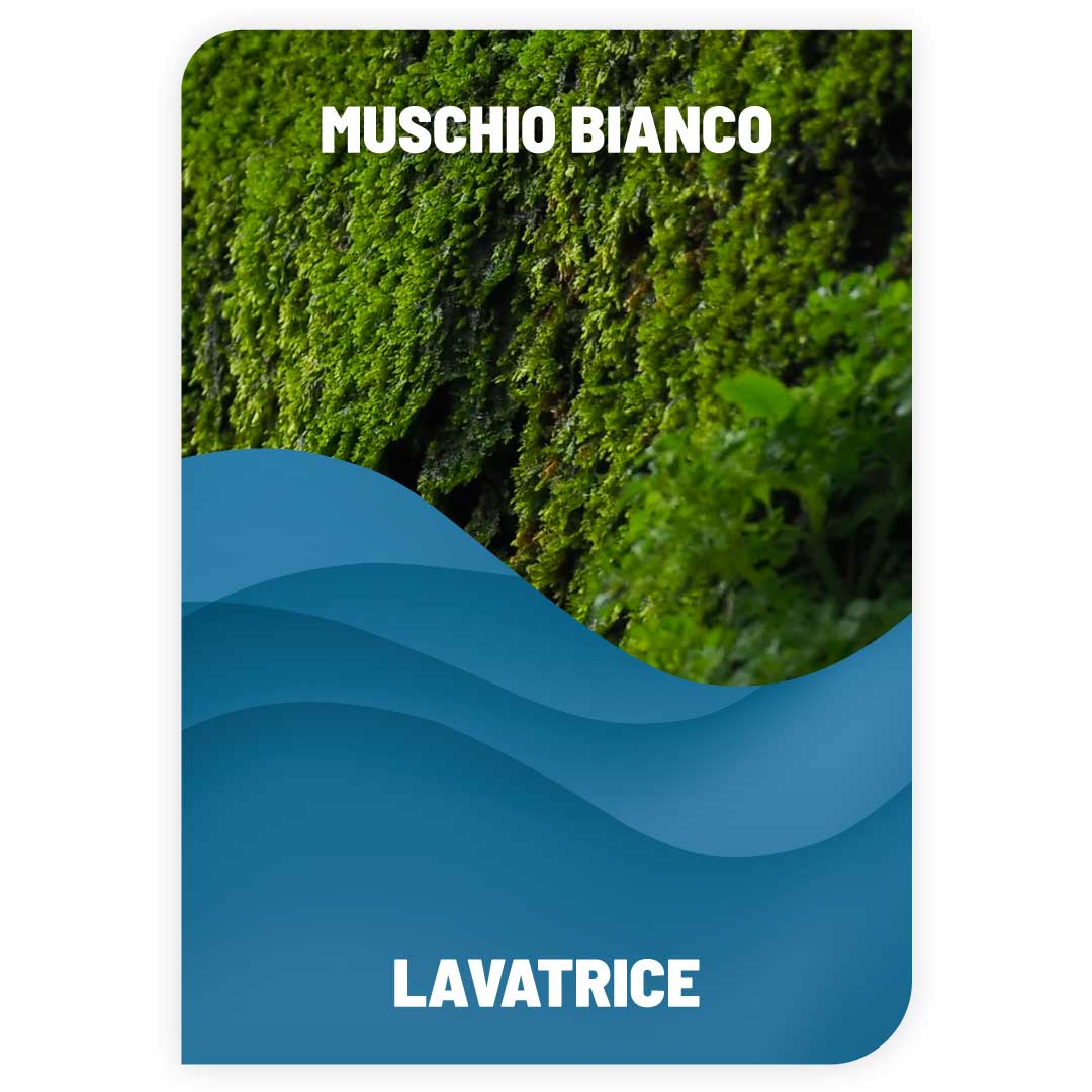 Detersivo per Lavatrice Muschio Bianco