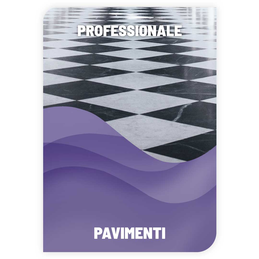 Lavapavimenti Professionale